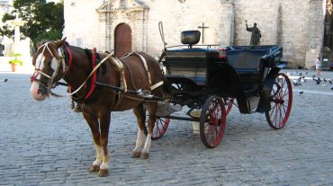 Horse-drawn carriage ride through Havana